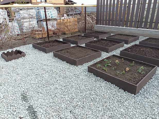 Доска 1000*200*20 мм